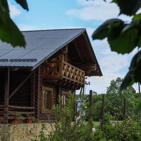 Сottage "Ksenija" Котедж "Ксенія" Skole Zewnętrze zdjęcie